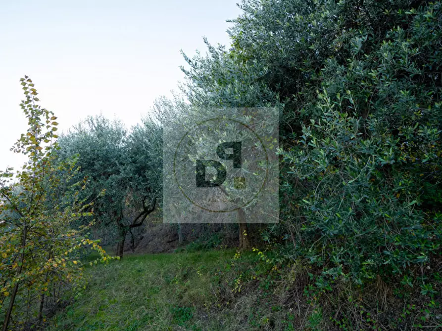 Immagine 39 di Casa indipendente in vendita  in VIA CIMITERO a Bedizzole