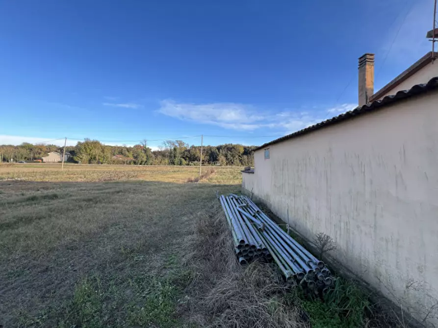 Immagine 28 di Casa indipendente in vendita  in Via Canal di Valle a Chioggia