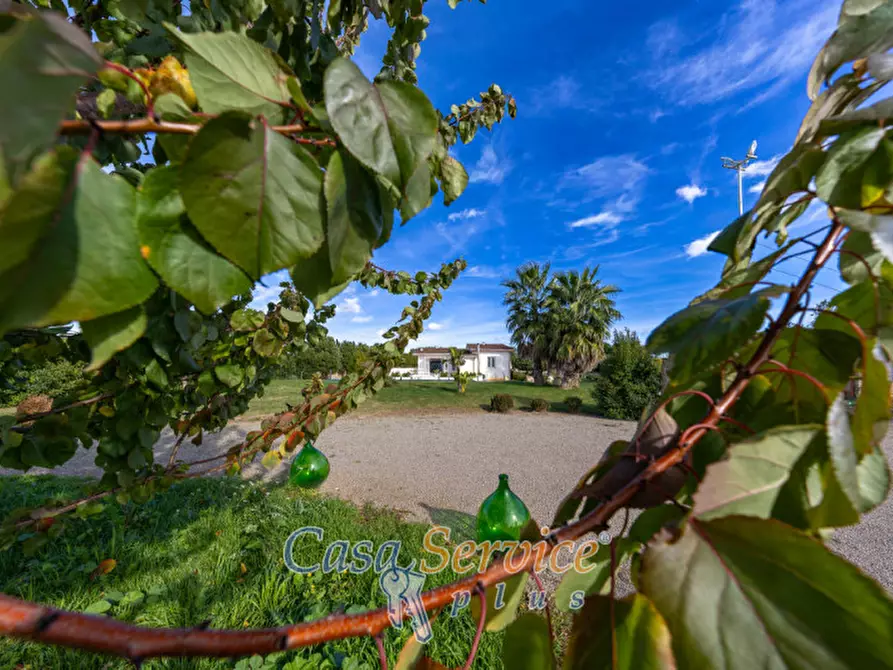 Immagine 4 di Villa in vendita  in Via Ischera a Casarano