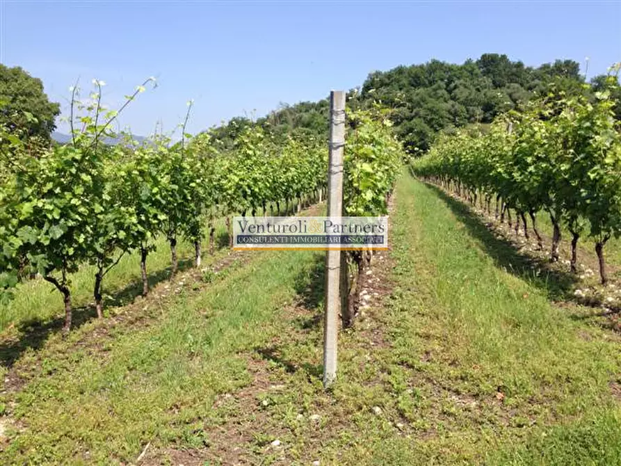 Immagine 3 di Terreno in vendita  in Via Grezze a Desenzano Del Garda