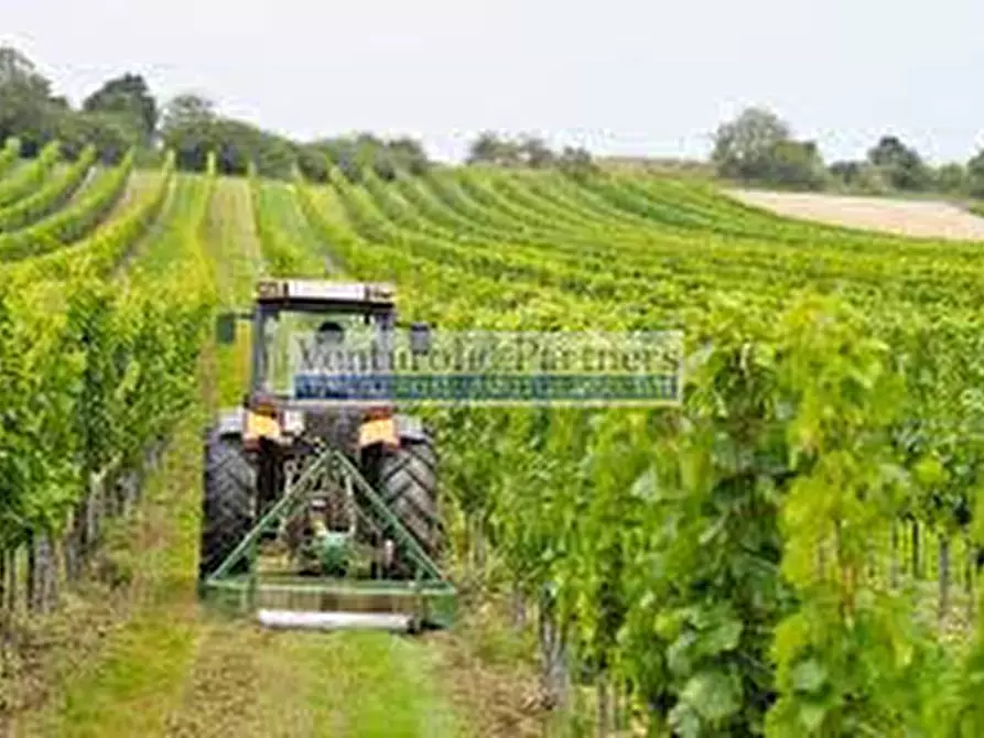 Immagine 10 di Terreno in vendita  in Via Grezze a Desenzano Del Garda