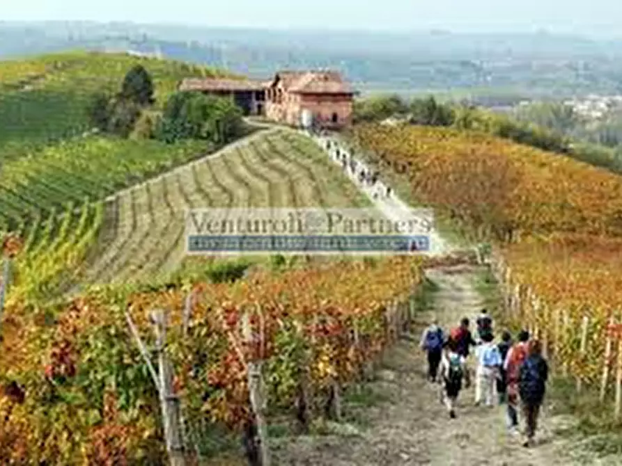 Immagine 11 di Terreno in vendita  in Via Grezze a Desenzano Del Garda