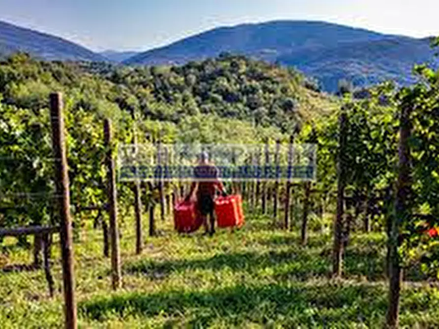 Immagine 14 di Terreno in vendita  in Via Grezze a Desenzano Del Garda