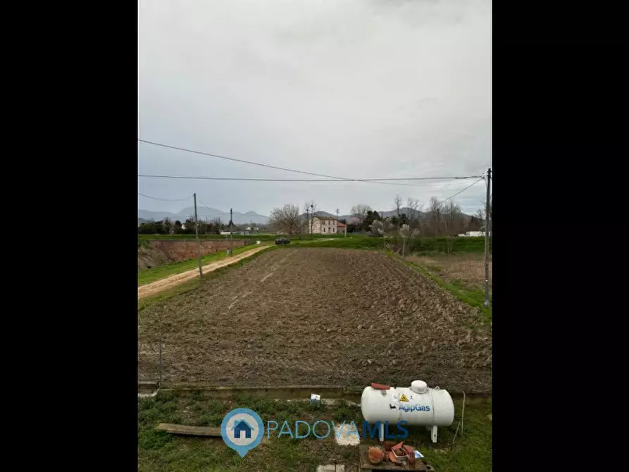 Immagine 4 di Casa bifamiliare in vendita  in Via Acquanera a Pernumia