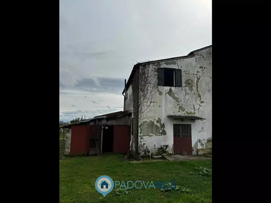 Immagine 9 di Casa bifamiliare in vendita  in Via Acquanera a Pernumia