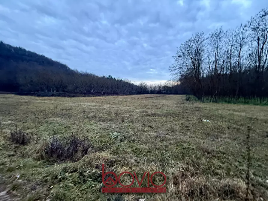 Immagine 1 di Terreno in vendita  in Via Ivrea SN a Montalenghe