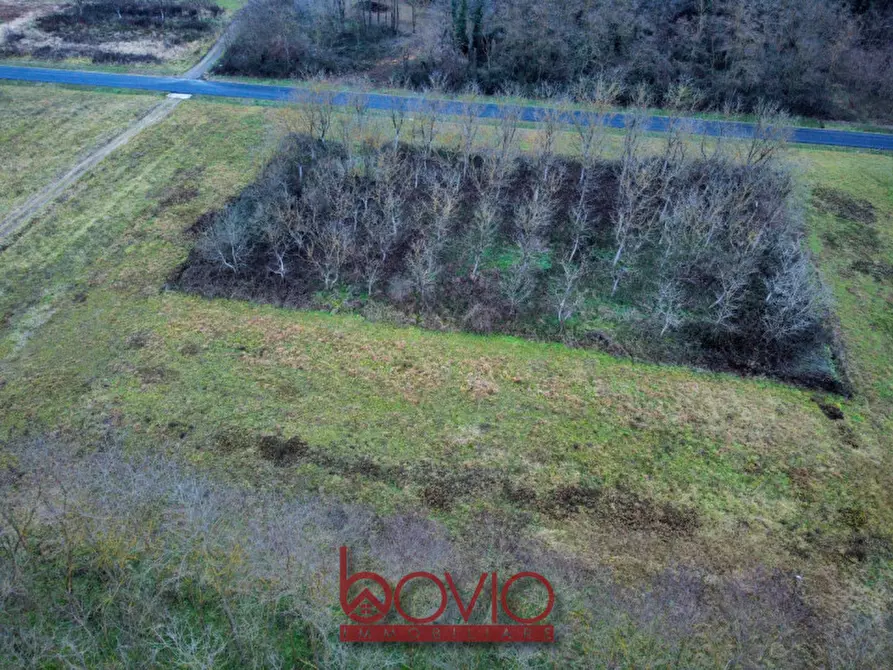 Immagine 2 di Terreno in vendita  in Via Ivrea SN a Montalenghe