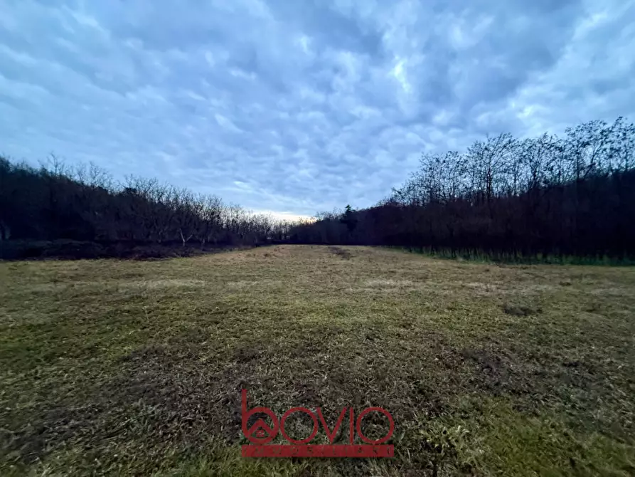 Immagine 3 di Terreno in vendita  in Via Ivrea SN a Montalenghe