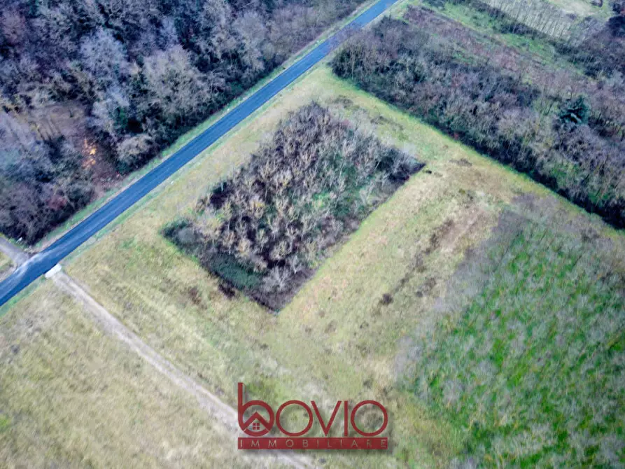 Immagine 4 di Terreno in vendita  in Via Ivrea SN a Montalenghe
