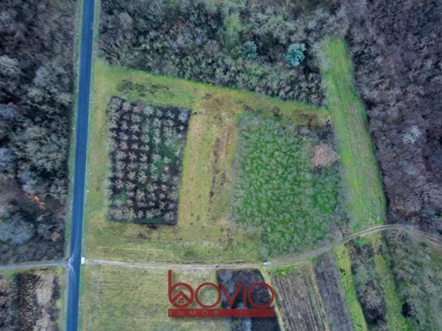 Immagine 6 di Terreno in vendita  in Via Ivrea SN a Montalenghe