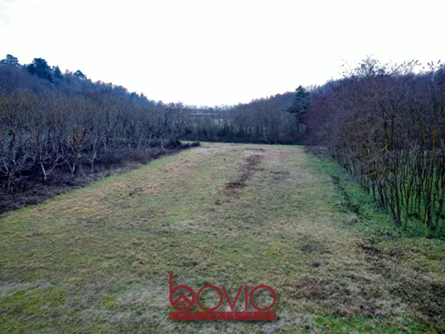 Immagine 9 di Terreno in vendita  in Via Ivrea SN a Montalenghe