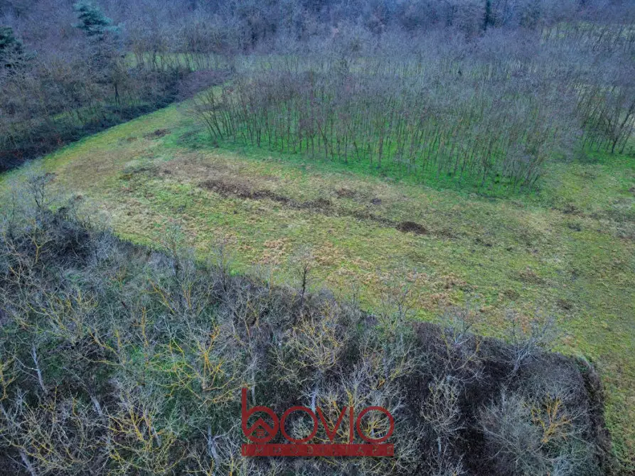 Immagine 10 di Terreno in vendita  in Via Ivrea SN a Montalenghe
