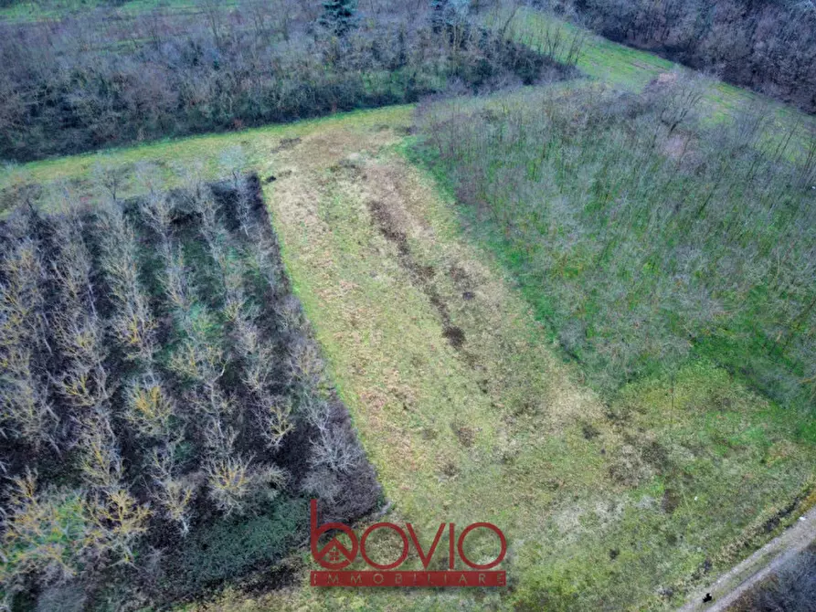 Immagine 11 di Terreno in vendita  in Via Ivrea SN a Montalenghe