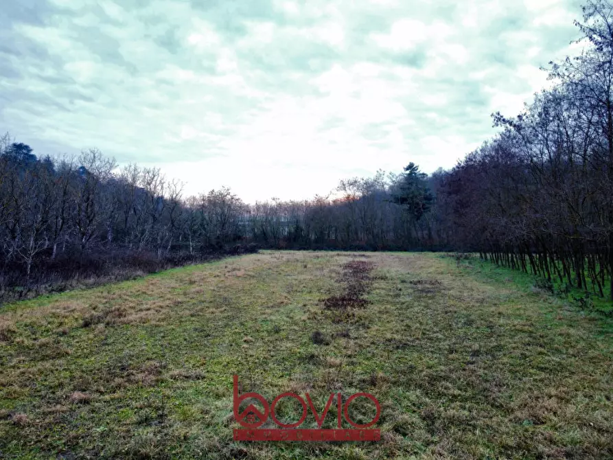 Immagine 17 di Terreno in vendita  in Via Ivrea SN a Montalenghe