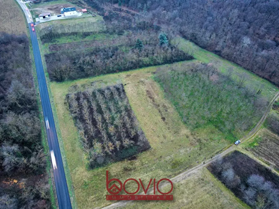 Immagine 18 di Terreno in vendita  in Via Ivrea SN a Montalenghe