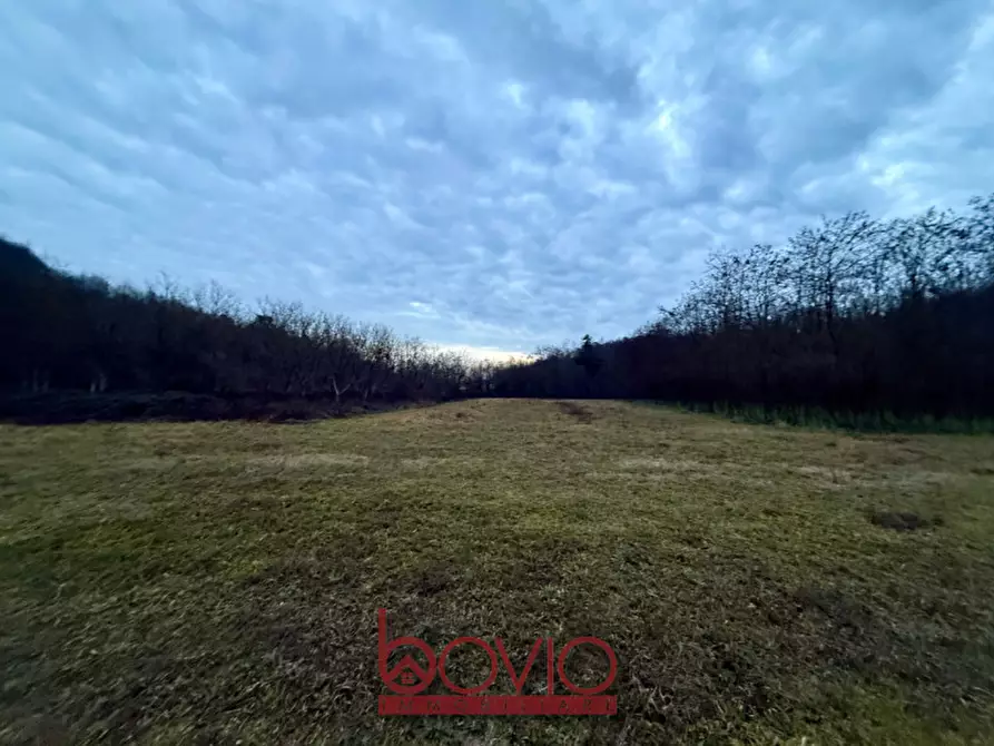 Immagine 19 di Terreno in vendita  in Via Ivrea SN a Montalenghe