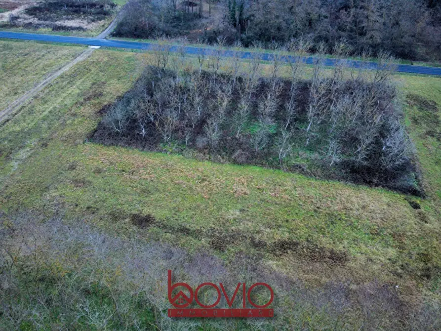 Immagine 21 di Terreno in vendita  in Via Ivrea SN a Montalenghe