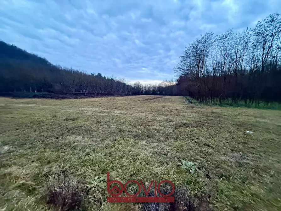 Immagine 23 di Terreno in vendita  in Via Ivrea SN a Montalenghe