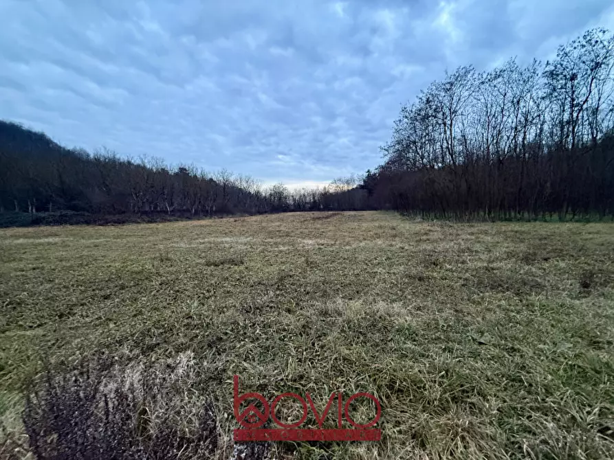 Immagine 25 di Terreno in vendita  in Via Ivrea SN a Montalenghe