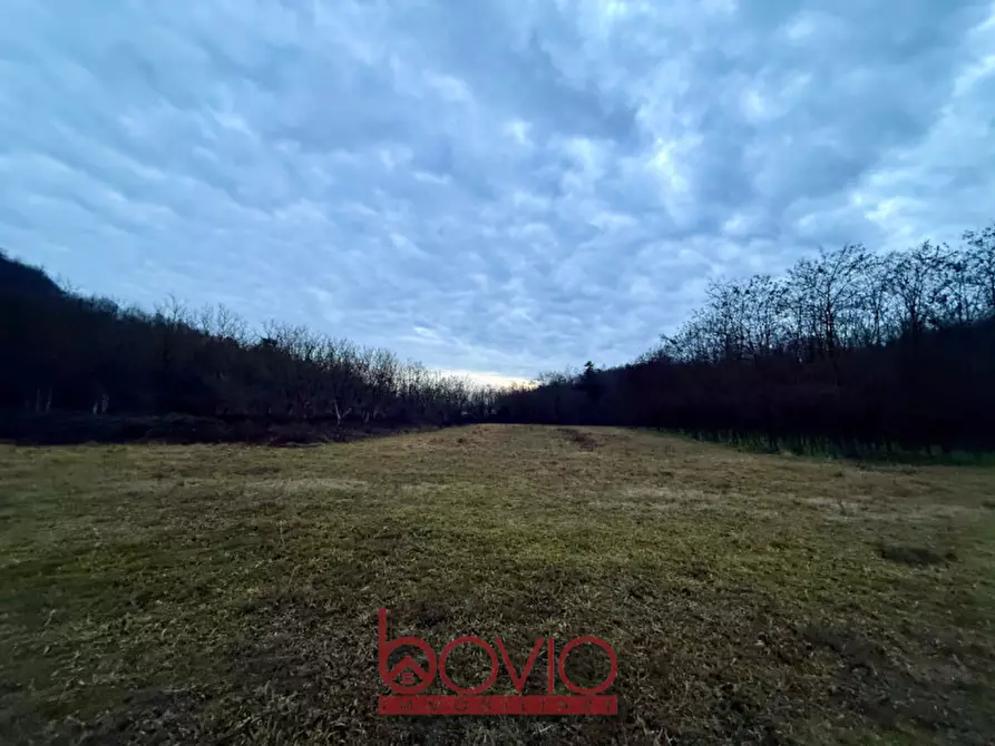 Immagine 27 di Terreno in vendita  in Via Ivrea SN a Montalenghe