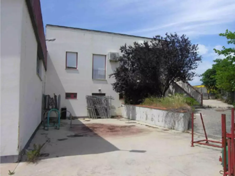 Immagine 3 di Capannone industriale in vendita  in via del Lavoro, N. snc a Paciano