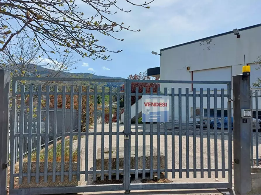 Immagine 5 di Capannone industriale in vendita  in via del Lavoro, N. snc a Paciano
