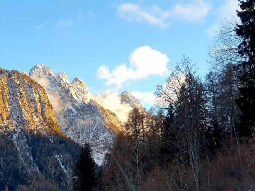 Immagine 10 di Appartamento in vendita  a Dimaro Folgarida