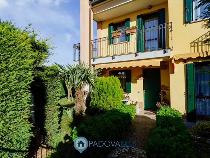 Immagine 18 di Casa trifamiliare in vendita  in Via San Pietro a Agna