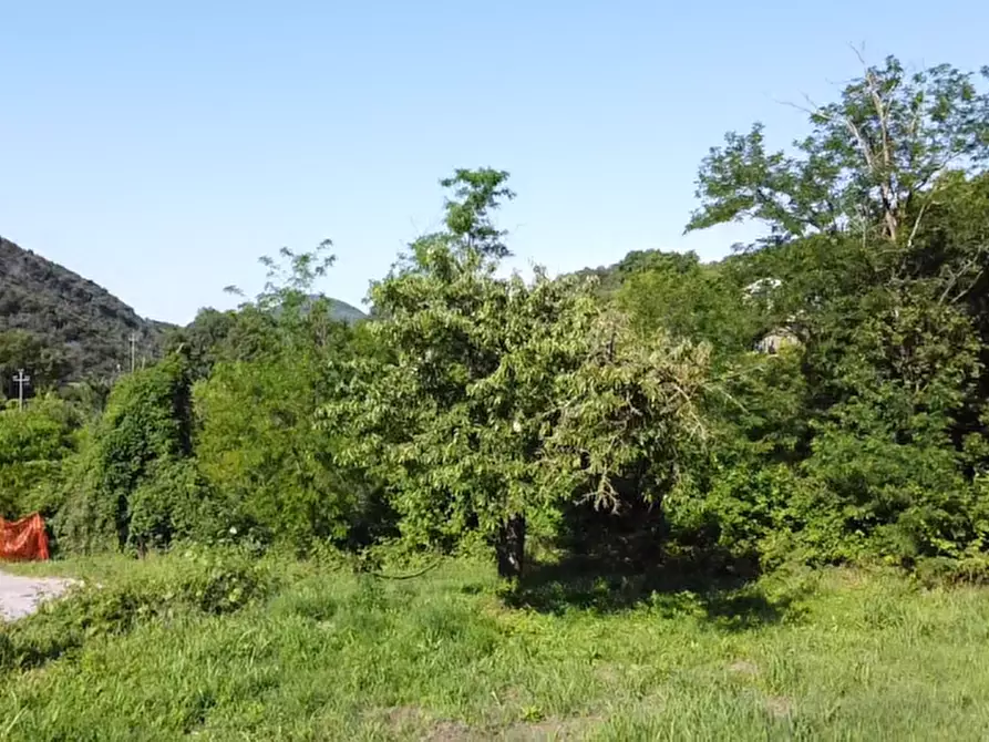 Immagine 4 di Terreno in vendita  in Via dei Faggi a Cinto Euganeo