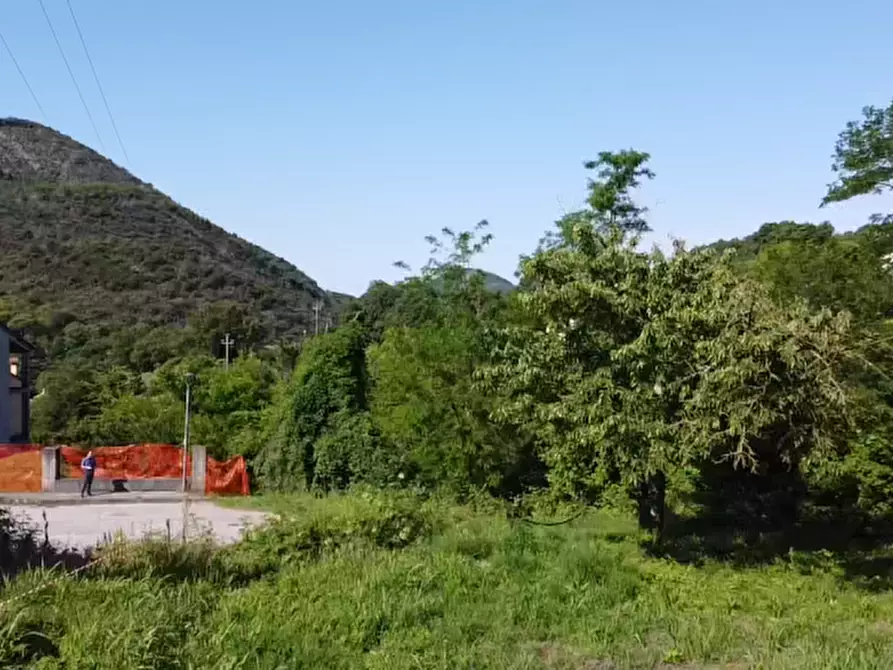 Immagine 5 di Terreno in vendita  in Via dei Faggi a Cinto Euganeo