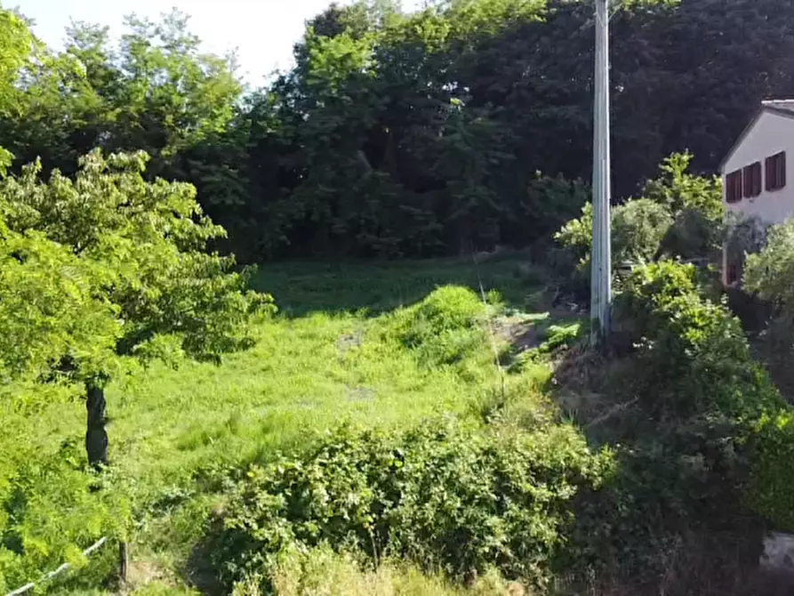 Immagine 8 di Terreno in vendita  in Via dei Faggi a Cinto Euganeo