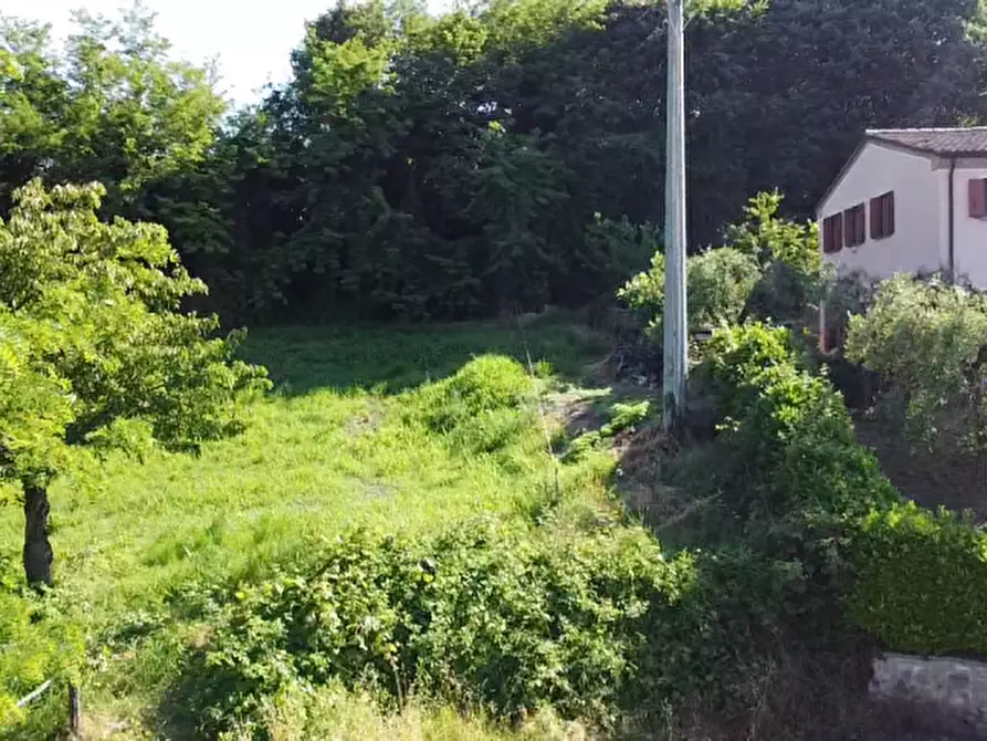 Immagine 9 di Terreno in vendita  in Via dei Faggi a Cinto Euganeo