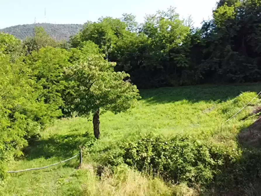 Immagine 10 di Terreno in vendita  in Via dei Faggi a Cinto Euganeo