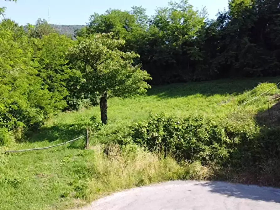 Immagine 11 di Terreno in vendita  in Via dei Faggi a Cinto Euganeo
