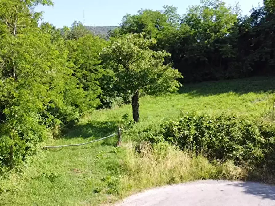 Immagine 12 di Terreno in vendita  in Via dei Faggi a Cinto Euganeo