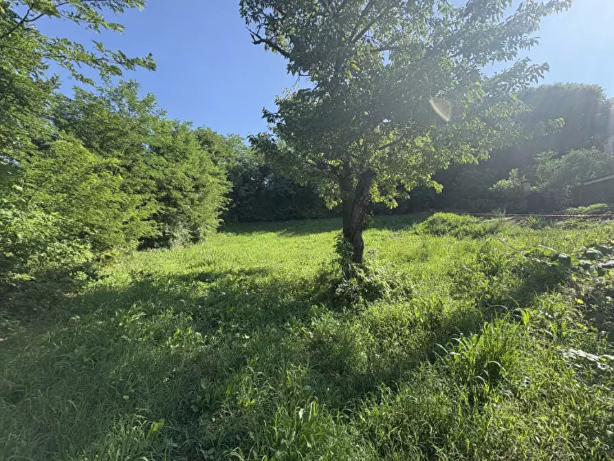Immagine 14 di Terreno in vendita  in Via dei Faggi a Cinto Euganeo
