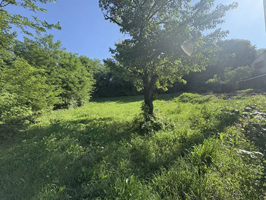 Immagine 15 di Terreno in vendita  in Via dei Faggi a Cinto Euganeo