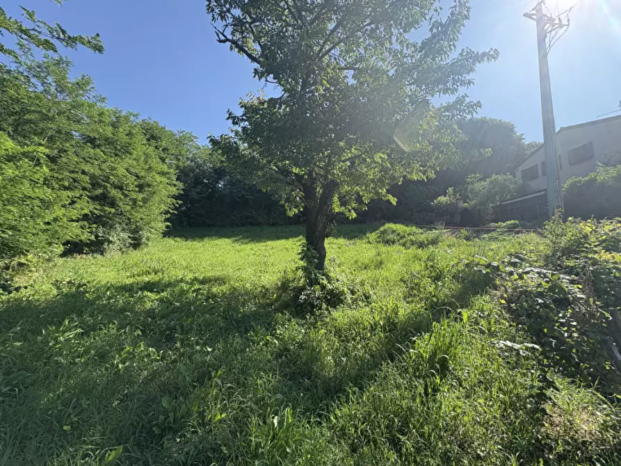 Immagine 16 di Terreno in vendita  in Via dei Faggi a Cinto Euganeo