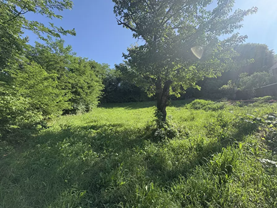 Immagine 17 di Terreno in vendita  in Via dei Faggi a Cinto Euganeo