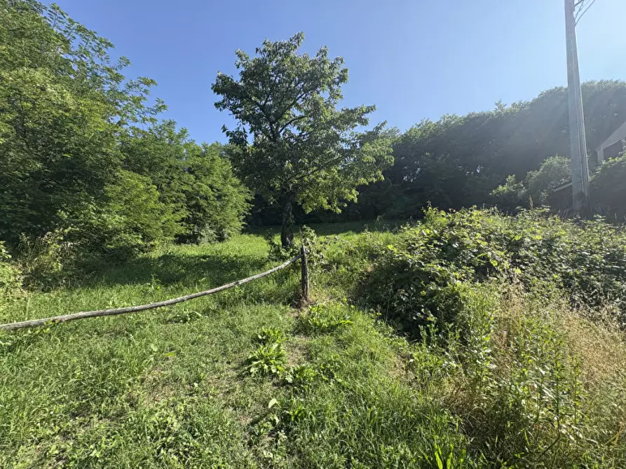 Immagine 18 di Terreno in vendita  in Via dei Faggi a Cinto Euganeo