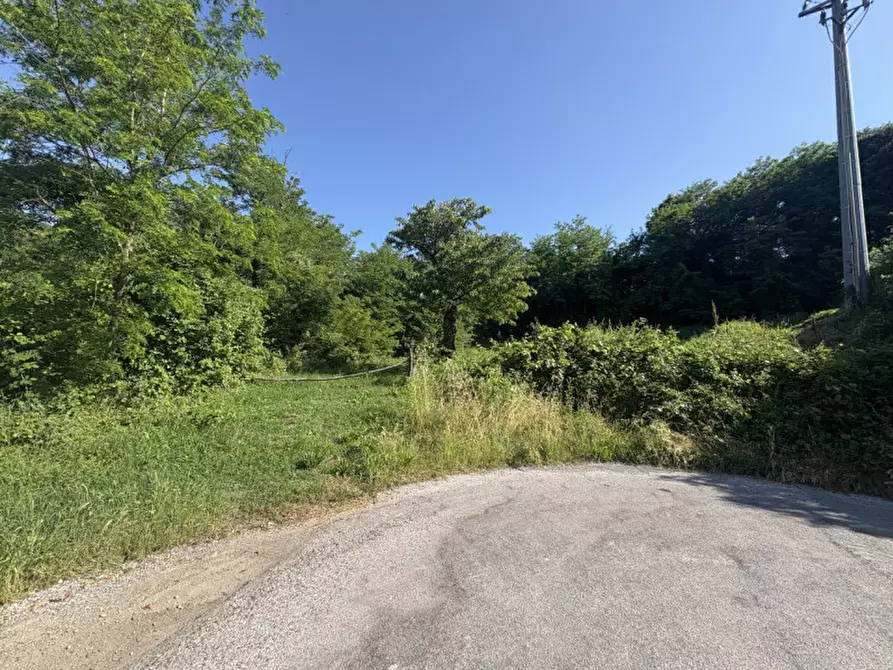 Immagine 19 di Terreno in vendita  in Via dei Faggi a Cinto Euganeo