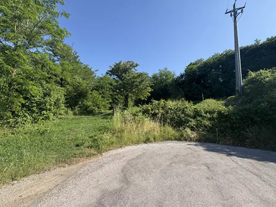 Immagine 20 di Terreno in vendita  in Via dei Faggi a Cinto Euganeo