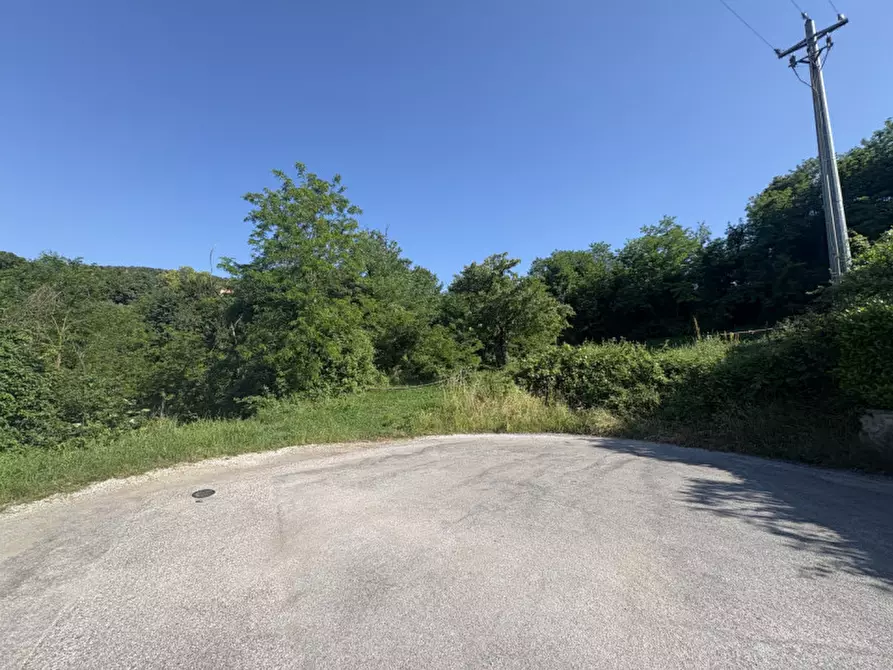 Immagine 21 di Terreno in vendita  in Via dei Faggi a Cinto Euganeo