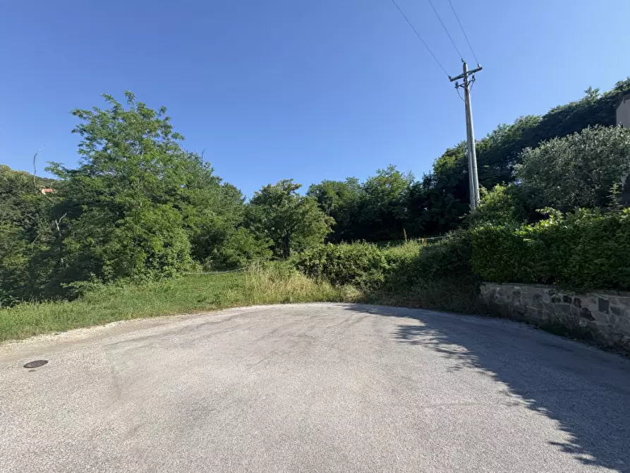 Immagine 22 di Terreno in vendita  in Via dei Faggi a Cinto Euganeo