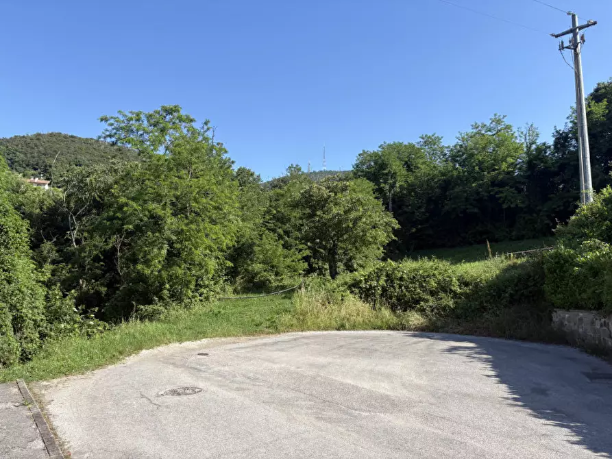 Immagine 25 di Terreno in vendita  in Via dei Faggi a Cinto Euganeo