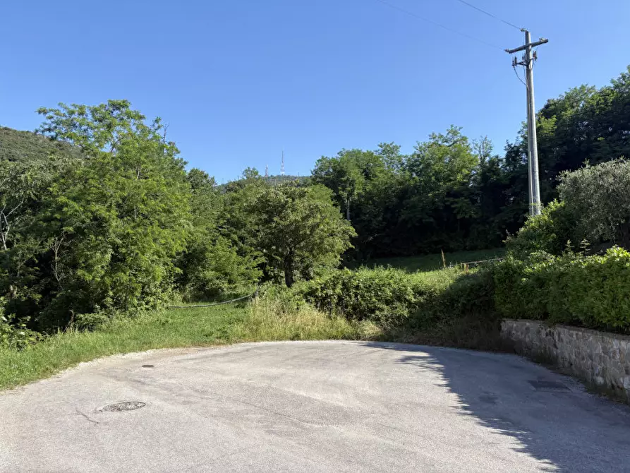 Immagine 26 di Terreno in vendita  in Via dei Faggi a Cinto Euganeo
