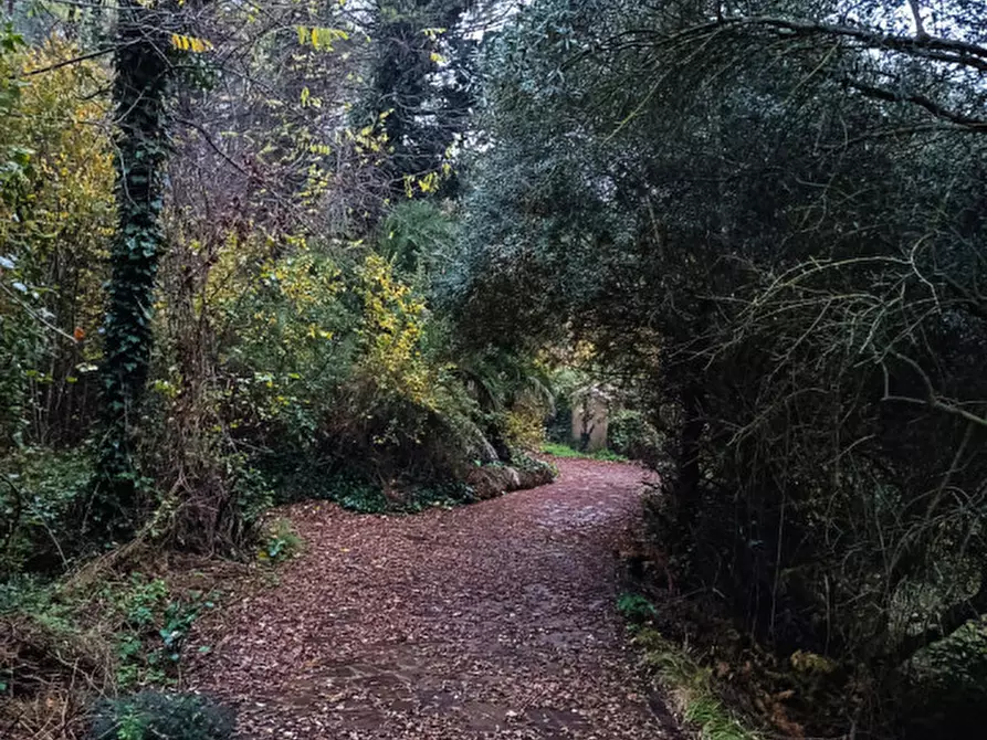 Immagine 4 di Villa in vendita  a Agugliano