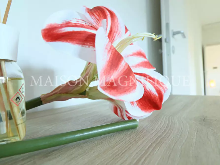 Immagine 12 di Appartamento in vendita  in Via Giosuè Carducci a Occhiobello