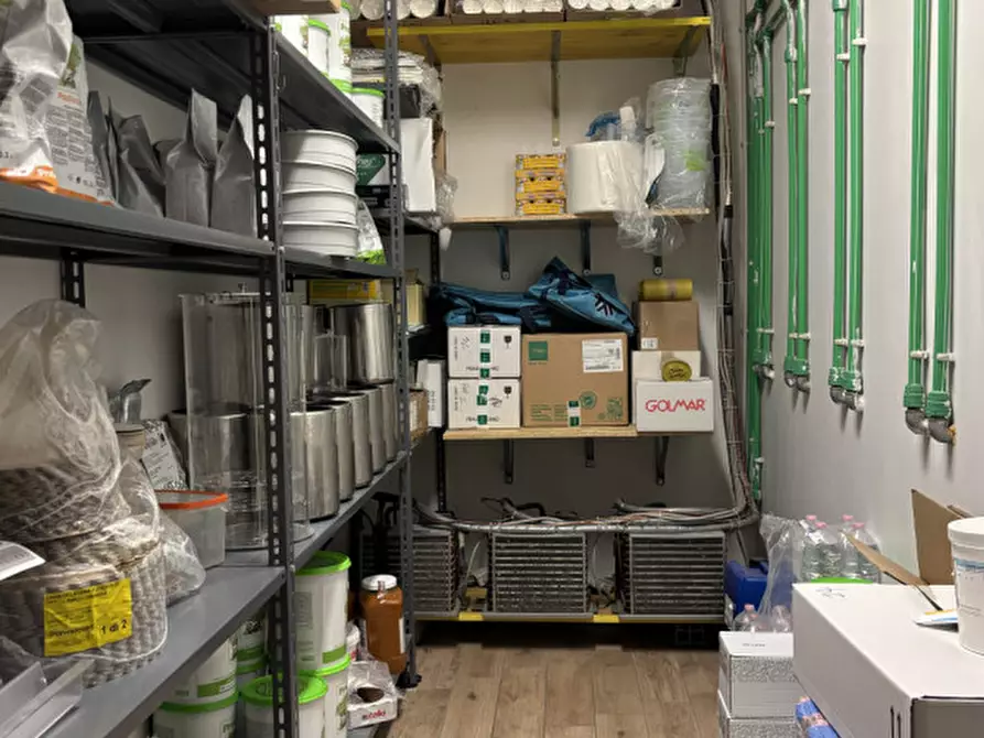 Immagine 25 di Attività commerciale in vendita  in Viale Solferino, 30/E a Parma