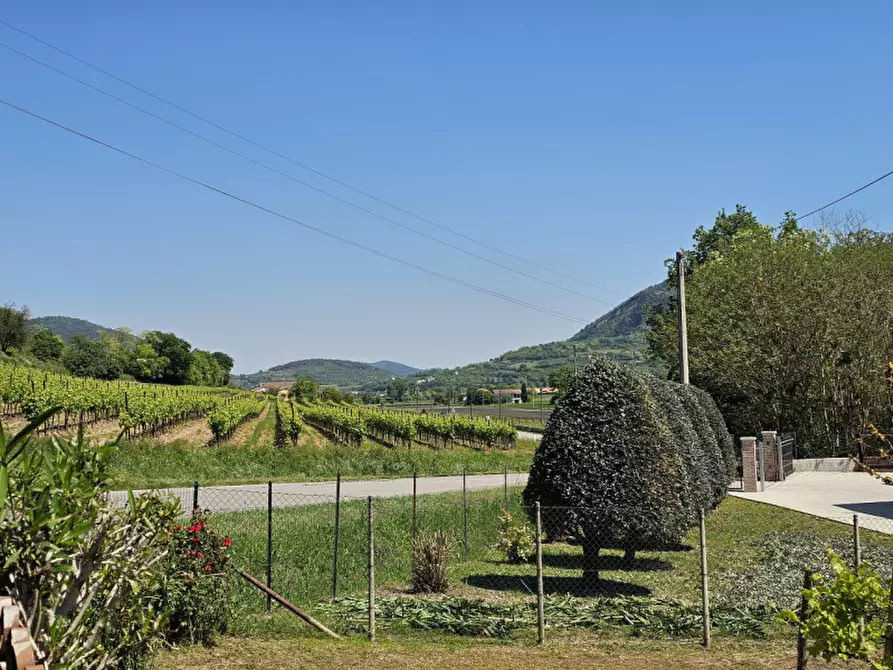 Immagine 21 di Casa bifamiliare in vendita  in VIA CASETTE a Baone